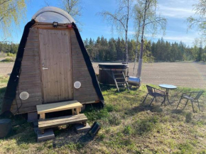 Niiralan Tila : Starlite Cabin in Laitila